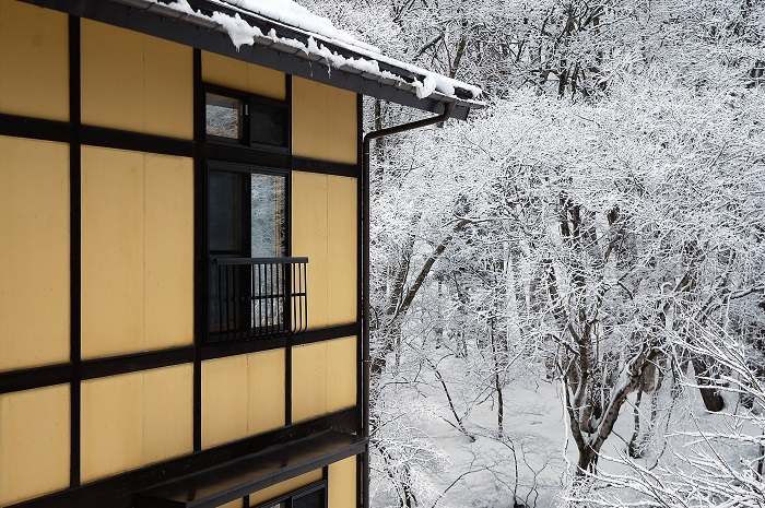 霧氷の雪景色に染まった桧枝岐川渓谷の原生林を望んで（２０２３年１月１６日）。