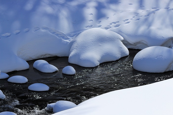 久しぶりの日の光を浴びた、檜枝岐川渓谷の雪景色とせせらぎ。動物の足跡も見えますね（２０２３年２月１０日）。