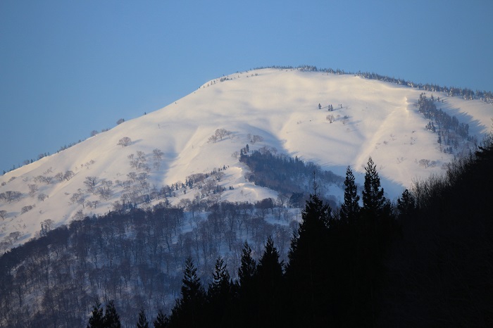 高畑スキー場近くの国道より望む、大戸沢岳の光景です。春スキーではとても人気の山ですね（２０２３年２月１８日）。