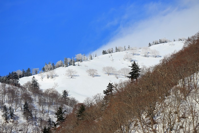 南会津町から帰る途中に、会津駒ケ岳の雪景色の尾根を見つめて（２０２３年３月１４日）。