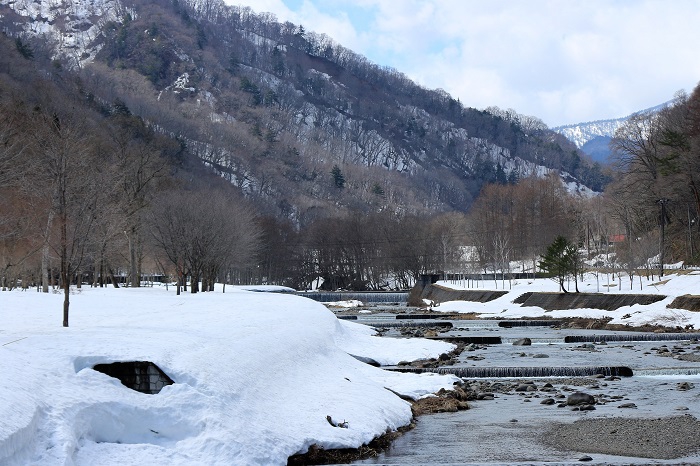 春のミニ尾瀬公園を家族で散歩して。綺麗な川の水面を見ると岩魚の姿も見えましたが、まだまだ残雪残る中でも、暖かな春の陽気の訪れは本当にうれしいものです（２０２３年３月２８日）。