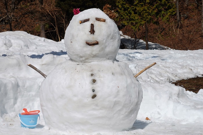 故郷の春へ里帰りに訪れてくれた子供達と孫達に作った雪ダルマ。大喜びでした（２０２３年３月２８日）。