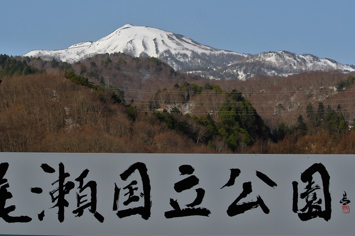 予想以上に速いスピードで進む雪解け。今年の尾瀬沼や、尾瀬ヶ原などの花々の季節は想定よりも、かなり早いことが予想されます（２０２３年４月１８日）。