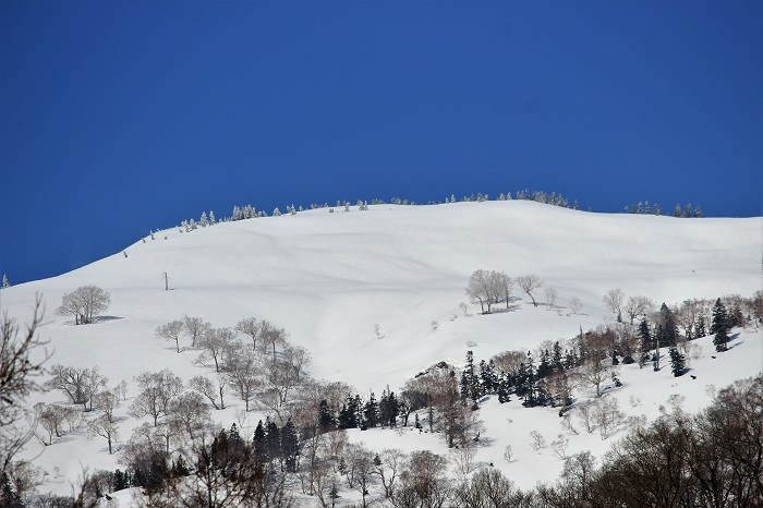 真っ青な青空の下、白銀の残雪の姿を魅せる春の会津駒ケ岳の尾根筋の景観です（２０２３年４月１８日）。