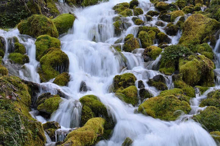 ブナ坂の清水も、平年よりも水量が少なめに見えましたが、いつ見ても、綺麗で美しいブナ坂の清水です（２０２３年４月２８日）。