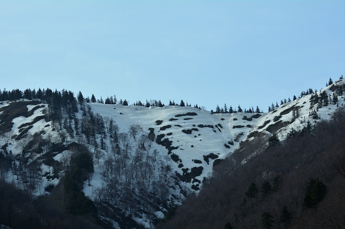 ブナ坂より望む会津駒ケ岳の大津岐峠から大杉岳間の尾根の残雪の景観です（２０２３年４月２８日）。
