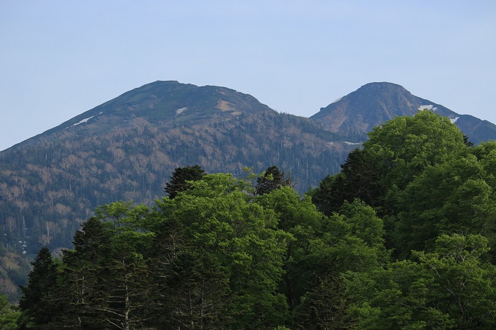 小沢平ブナ樹海ラインから望む、燧ケ岳(標高２３５６ｍ）の姿が最も雄大に望める場所の一つです（２０２３年６月７日）。
