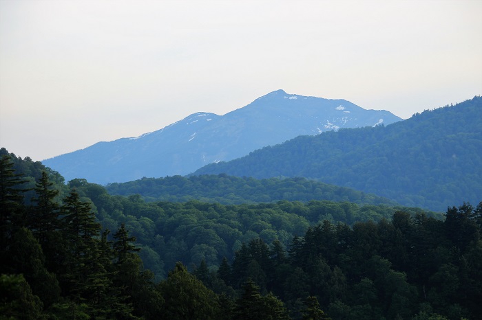 小沢平ブナ樹海ラインから望む、尾瀬ヶ原のシンボル至仏山(標高２２２８ｍ)の様子です。直線距離では、尾瀬ヶ原も目の前に見えますね（２０２３年６月７日）。