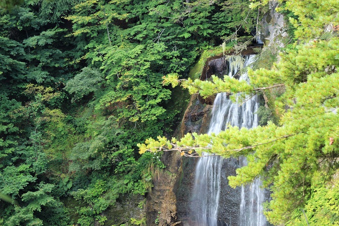 雨不足による渇水にて、モーカケの滝も、まるで「抱返ノ滝」（沼田街道）のような様相を魅せておりました。このような姿でもとても美しいのが、モーカケの滝の素晴らしさと奥深さです（２０２３年９月１２日）。