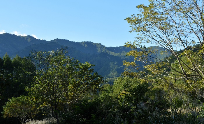 小沢平の秋の季節の始まりの光景・秋の山並みの姿です（２０２３年９月１４日）。