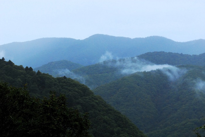 森林・山岳面積約９８％の檜枝岐村です。人口密度も日本一低い最奥の山村です。全山色鮮やかな紅葉の姿に変わる前の、緑の檜枝岐村の山々の光景を望んで（２０２３年１０月１日）。