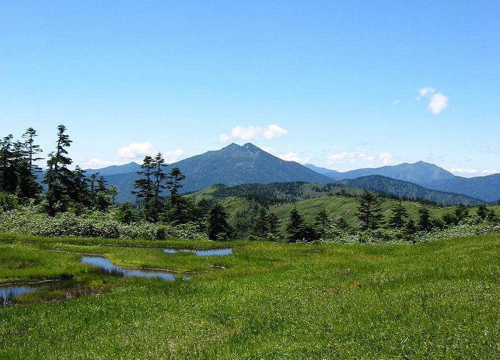 ２０２３年、花の名山・会津駒ケ岳（標高２１３２．４ｍ）への登山においでいただきました御客様、本当に、ありがとうございました（２００７年８月１３日の画像です）。