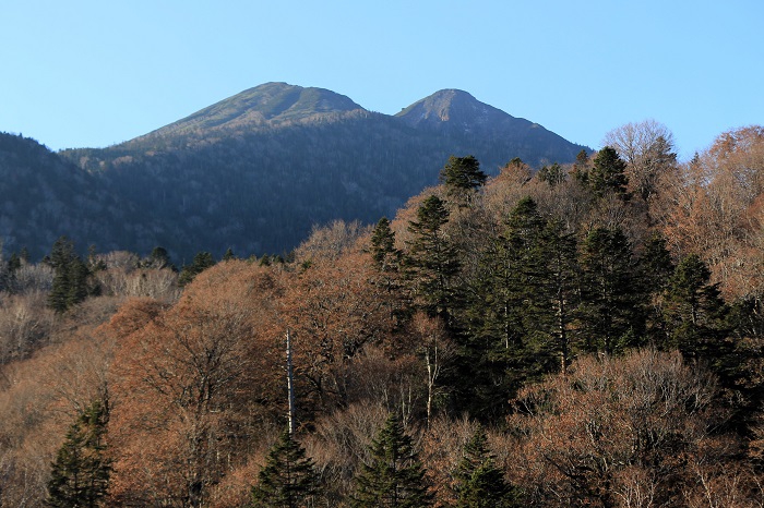 冬季通行止めを３日後に控えた尾瀬御池登山口より望む、燧ケ岳（標高２３５６ｍ）の姿です。２０２３年、燧ケ岳への登山においでいただいた御客様、本当に、ありがとうございました（１１月３日７時１２分）。