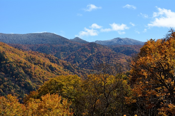 尾瀬ブナ坂最上部より、帝釈山(標高２０６０ｍ）方面の山々を望んで。この日、尾瀬ブナ坂の最上部では、山頂付近の雪景色と紅葉の山々を求めての、多くの写真愛好家の方々が集まっておられました（２０２３年１０月２２日）。