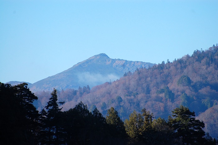 小沢平ブナ樹海ラインより望む、晩秋と落葉の奥に望む至仏山（標高２２２８ｍ）の光景です（２０２３年１０月３１日）。