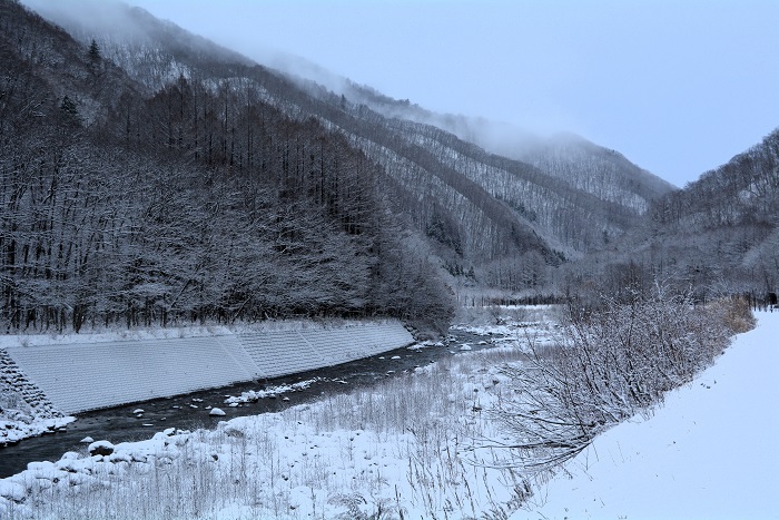 檜枝岐村・ヨナゴ地区より、会津駒ケ岳・キリンテ登山口方面を望んで（２０２３年１２月１日）。