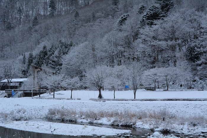 この日、雪化粧したミニ尾瀬公園の自然の姿が本当に綺麗でした（２０２３年１２月１日）。