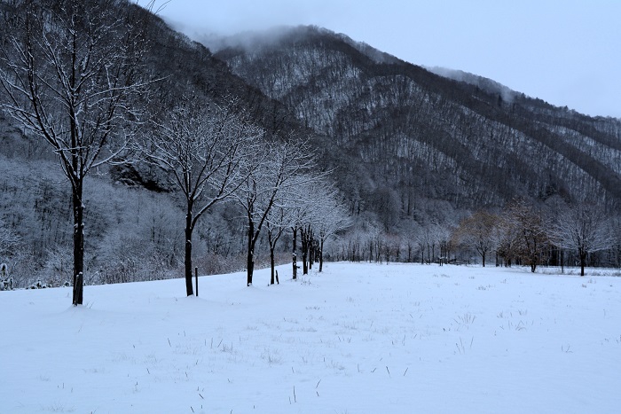 檜枝岐村・ヨナゴ地区の蕎麦畑より、会津駒ケ岳・キリンテ登山口方面を望んで（２０２３年１２月１日）。