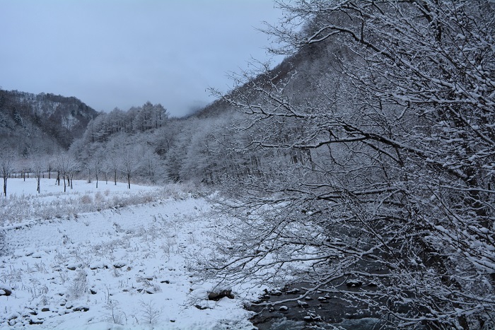 多くの積雪に覆われる冬本番の厳冬の季節まで、もうすぐです（２０２３年１２月１日）。