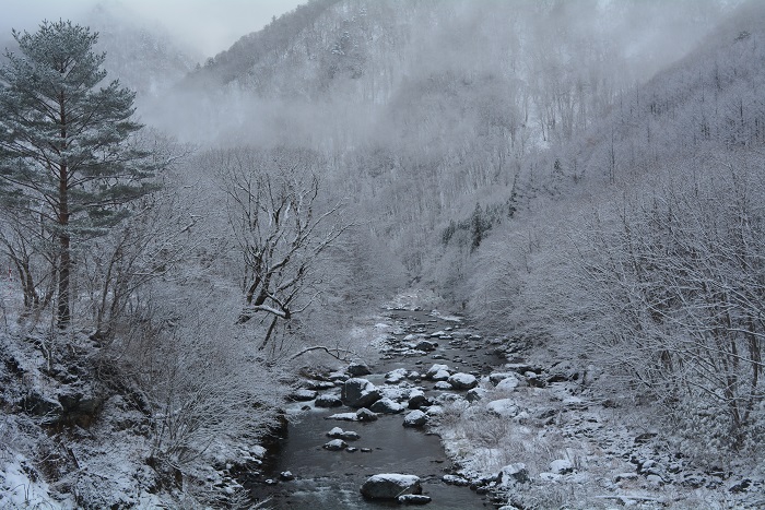 その昔、この檜枝岐村・下畑地区にも、多くの出作り小屋があり、尾瀬野の出作り小屋もありました。エイノおばあさんや檜枝岐村の多くの人々の歴史そのものです（２０２３年１２月２日）。