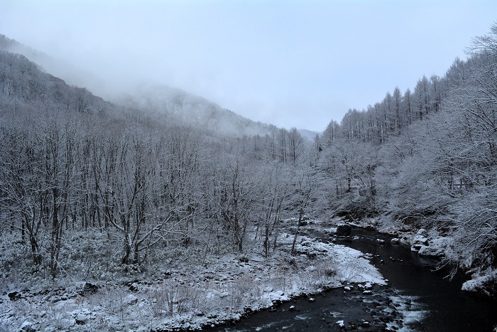 檜枝岐村・下畑地区の渓谷は新緑から秋の紅葉そして冬の雪景色と、四季折々に美しい自然の姿が見られます（２０２３年１２月２日）。