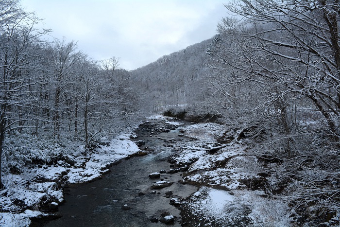 檜枝岐村と南会津町の境界にある白沢の「せせらぎ橋」より、初冬の川の流れと雪景色を望んで（２０２３年１２月２日）。