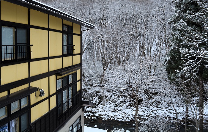 霧氷の雪景色に染まった朝、檜枝岐川渓谷の雪景色を望んで（２０２３年１２月２日）。