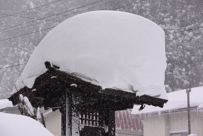 いかにこの日、南西の方角から北東の方角へ、強烈な暴風雪が吹き続けたかを物語る雪の姿です（１月２５日・１１時２７分）。