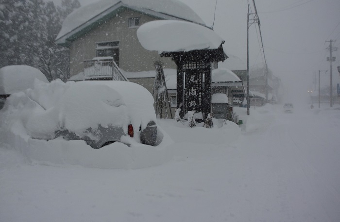 いったい明日の朝までにどれだけ降り積もってゆくのだろうという思いに駆られながら、降りしきる雪をしばらく見つめて（１月２５日・１６時３０分）。