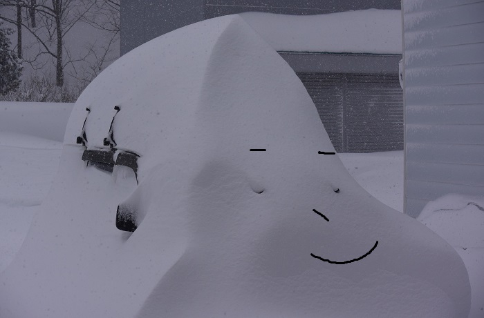 朝四時過ぎ頃よりも一段と雪に埋もれたアクティバンも、かわいい顔に大変身です（１月２５日・１１時２７分）。