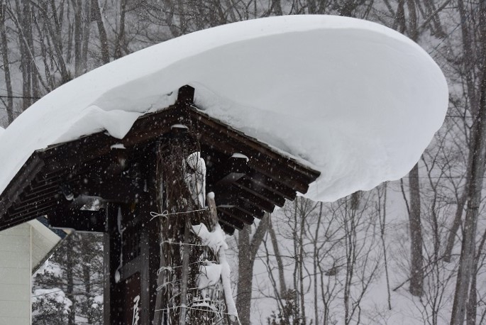 檜枝岐村の建物の屋根の形は、このような雪の形成の影響を考慮した屋根の形が数多く見られます。南西の方角から北東の方角へ、強烈な暴風雪が吹き続けることにより生じる自然の雪の形です（１月２５日・１２時２９分）。