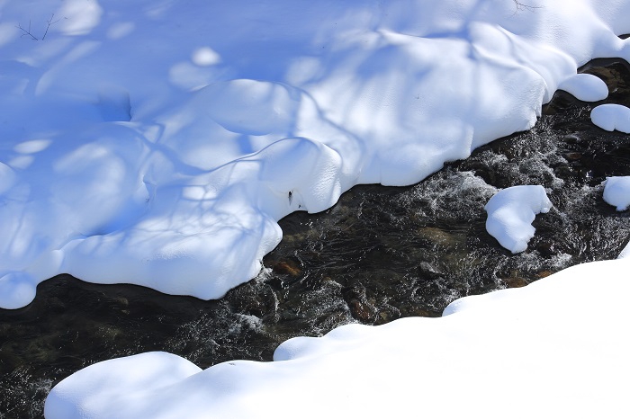 標高約９５０ｍ、最奥の深山の渓谷に見る厳寒の冬の光景です（２０２４年１月２９日）。
