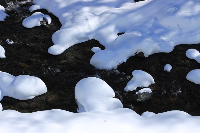 厳しい風雪の後の雪と水と太陽の光の織り成す光景は、本当に美しいものです（２０２４年１月３０日）。