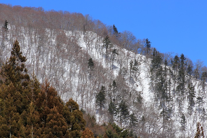 屋根の雪下ろし作業の合間に会津駒ケ岳(標高２１３２．４ｍ）へと連なる尾根の姿を望んで（２０２４年１月２９日）。