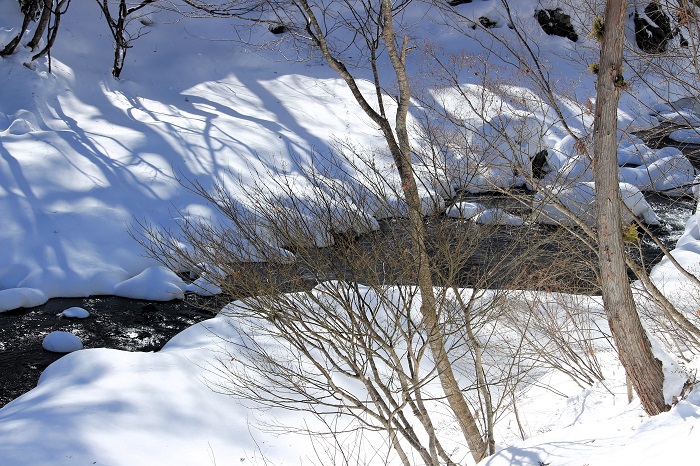 男性浴室から望む檜枝岐川渓谷の冬の光景です（２０２４年１月３０日）。