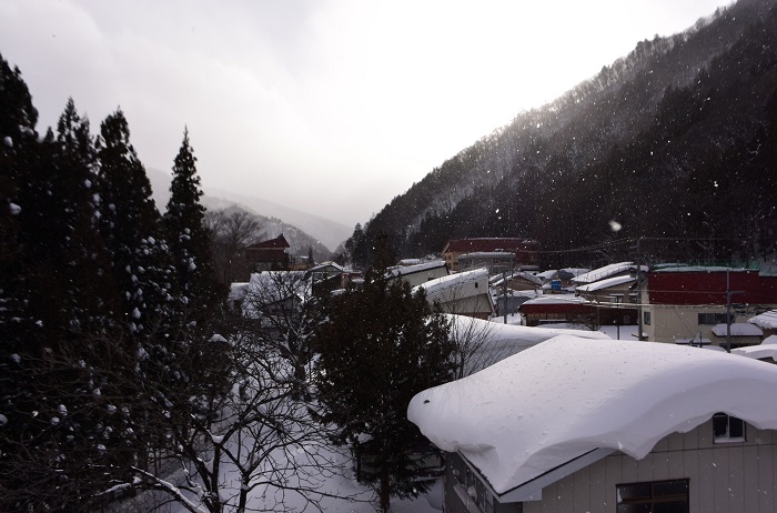 約２日間で、１ｍ５０ｃｍ近く降り積もった、特別豪雪地帯・檜枝岐村。場所によっては、積雪がそれほど増えなかったところもあり、いかに風雪が強く、積雪も風に飛ばされるというような暴風雪であったかを物語るような天候でした（２０２４年１月２６日）。