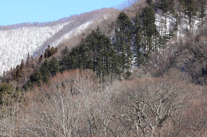 屋根の雪下ろし作業がほぼ終わってから、桧枝岐川渓谷と檜枝岐村の山々を望んで（２０２４年１月２９日）。