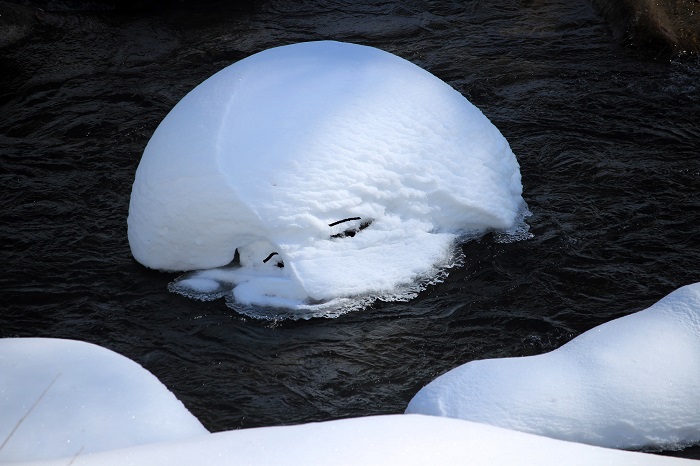 清らかに光り輝く冬の桧枝岐川渓谷でかわいい光景に出会いました。真冬の清流で見る「白銀のキティちゃん」と名づけました（２０２４年１月３１日）。