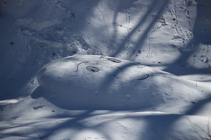 白銀の雪景色に染まる桧枝岐川渓谷を見つめていると、ふと不思議な光景に出会いました。白銀の桧枝岐川渓谷に横たわる、「本当にかわいい寝起きの輝きの笑顔」と名づけました（２０２４年１月３１日）。