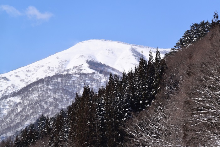 高畑スキー場に御客様を送った後に、冬の三ツ岩岳（標高２０６５ｍ）を望んで。５月には、多くの残雪の中、会津駒ケ岳から会津朝日岳への壮大な縦走を試みるパーティも見られます（２０２４年３月３日）。