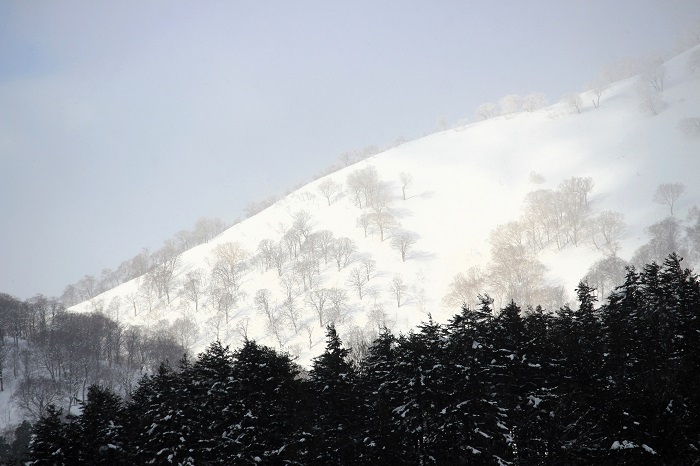 朝日に光輝く、三ツ岩岳（標高２０６５ｍ）の白銀の雪景色を望んで（２０２４年３月７日）。　