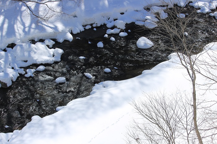 降り続いた降雪の３月の日々。尾瀬野より冬の檜枝岐川渓谷の姿を望んで。小雪の影響でいつもの年の冬よりも川幅は広く見えます（２０２４年３月１１日）。