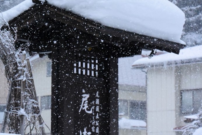 晴天の日もつかの間、また降雪の日を迎えて（２０２４年３月１２日）。