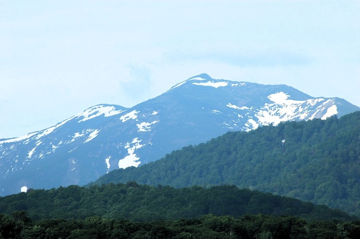 小沢平開墾地での山菜作業を終えて、道中より望む、尾瀬国立公園の名峰・至仏山（標高２２２８ｍ）の雄姿です（２０２５年６月１２日）。
