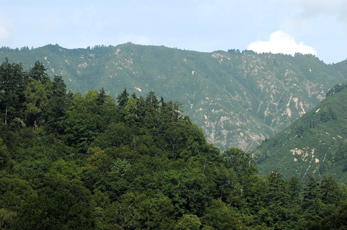 大杉分校からは、西側に新潟県境方面の山々、南側には燧ケ岳の雄姿が望めました（２０２５年８月２２日）。