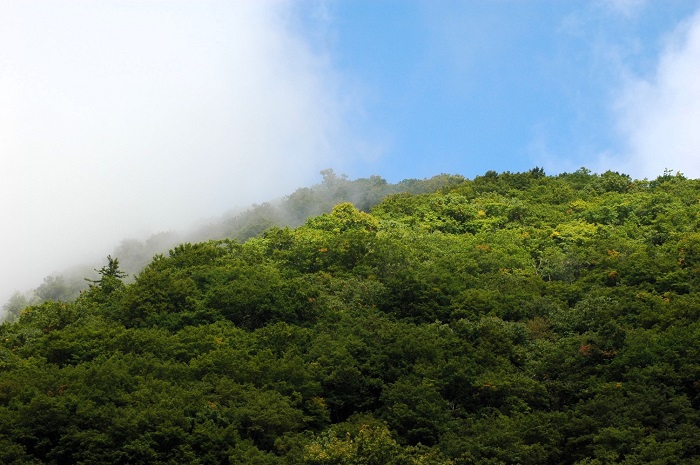 この頃は、まだ山々は緑の光景が続いておりました(2025年10月1日)。