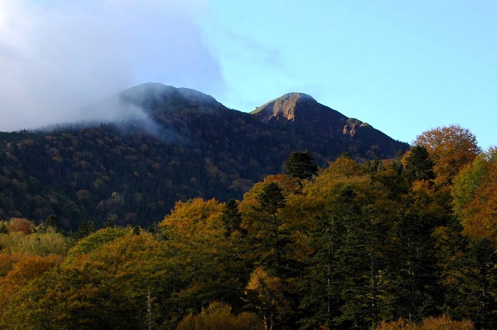 小沢平に作業に行く途中で撮影した秋の燧ケ岳（標高２３５６ｍ）と、紅葉の最盛期を迎えたダケカンバとブナの木の原生林の光景です（２０２５年１０月１５日）。