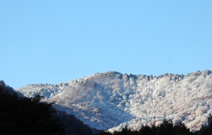 檜枝岐村・キリンテ地区より尾瀬の方角の雪景色をを望んで（２０２５年１１月４日・７時１８分）。