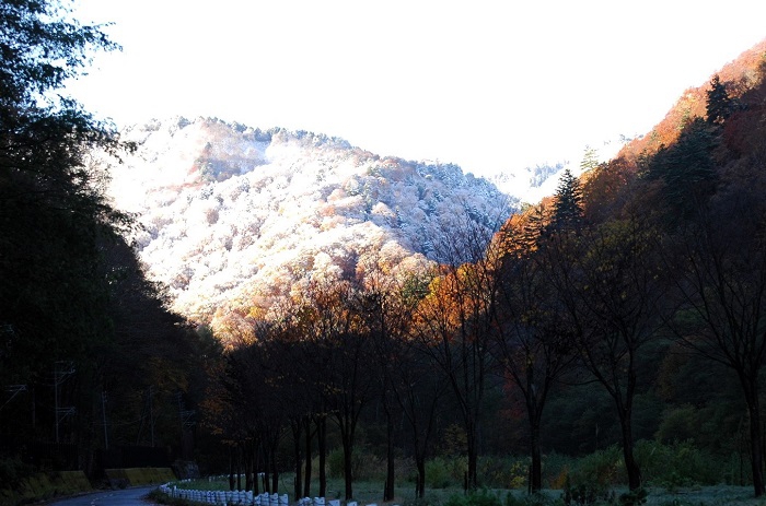 檜枝岐村ヨナゴ地区より紅葉の奥に白銀の雪景色に染まる尾瀬国立公園の景観を望んで（２０２５年１１月４日・７時２３分）。