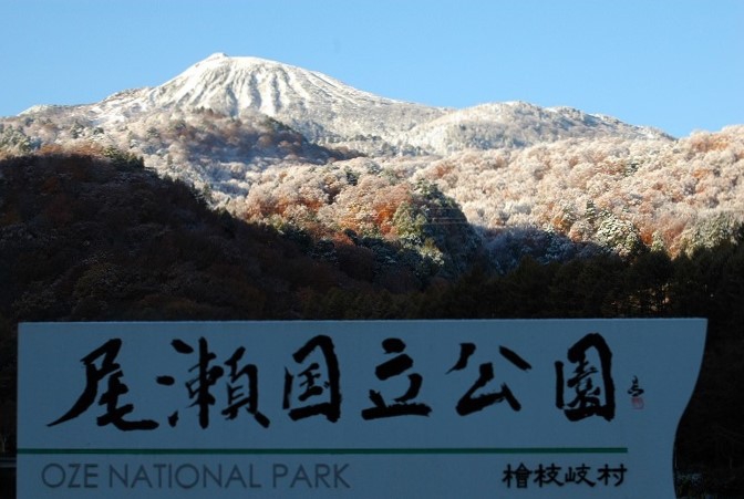 まさにこれから晩秋の紅葉が最盛期を迎えるであろうと思っていたブナ坂の紅葉も、多くの雪景色に染まってしまうとは、予想もしなかった景観でした（２０２５年１１月４日・７時２５分）。